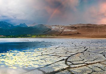 Photo of a dried up lake bed.